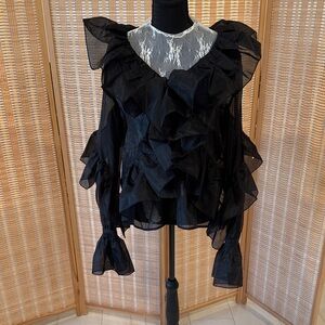 H&M Sheer Black Ruffled Blouse